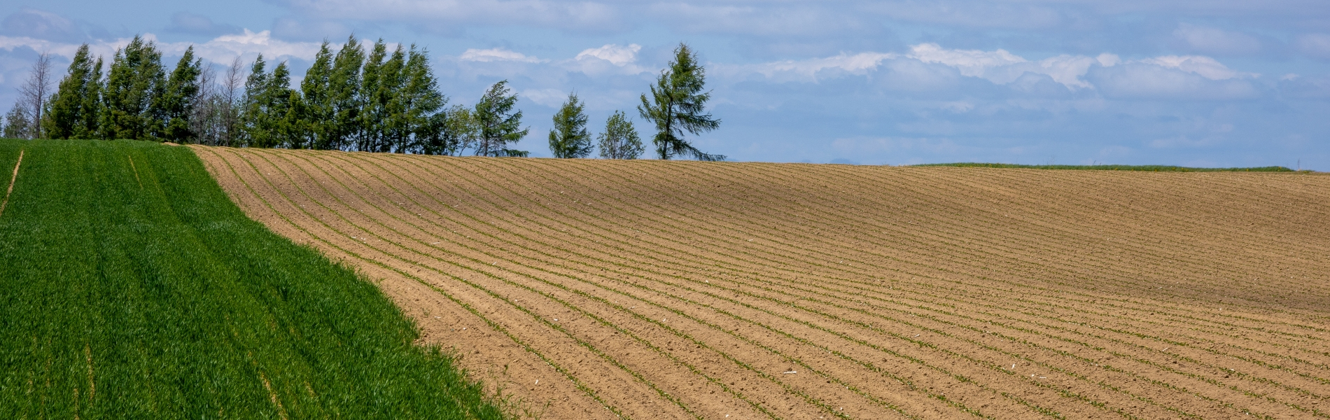 農地に関する手続き